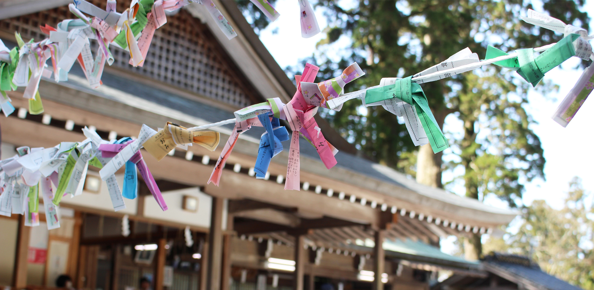 英彦山　たんぽぽ村